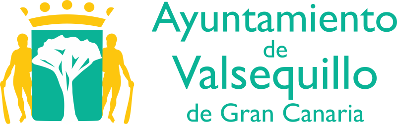 AYUNTAMIENTO DE VALSEQUILLO